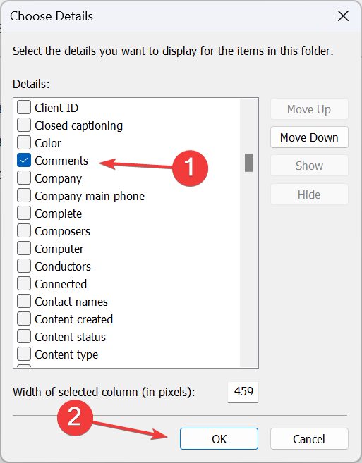Windows 11