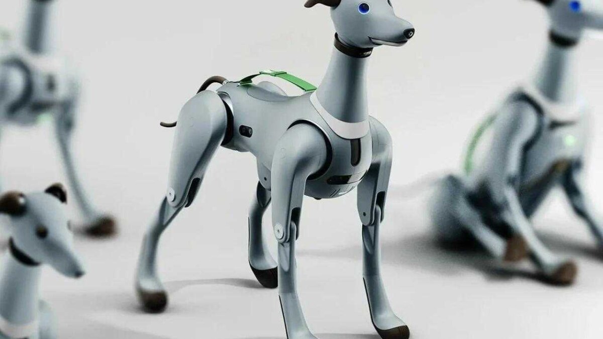 Представлена робособака для космонавтов — Laika 4 photo 2023 11 21 15 14 11