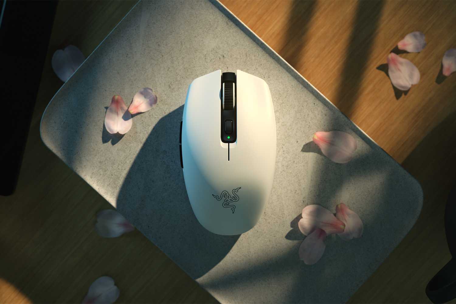 Лучшие игровые мыши в 2023 году 13 white key visual