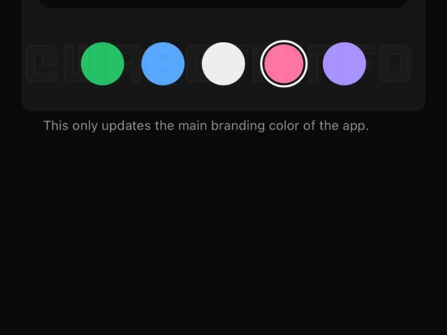 whatsapp ios beta theme picker