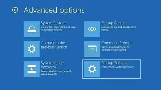 Windows 11