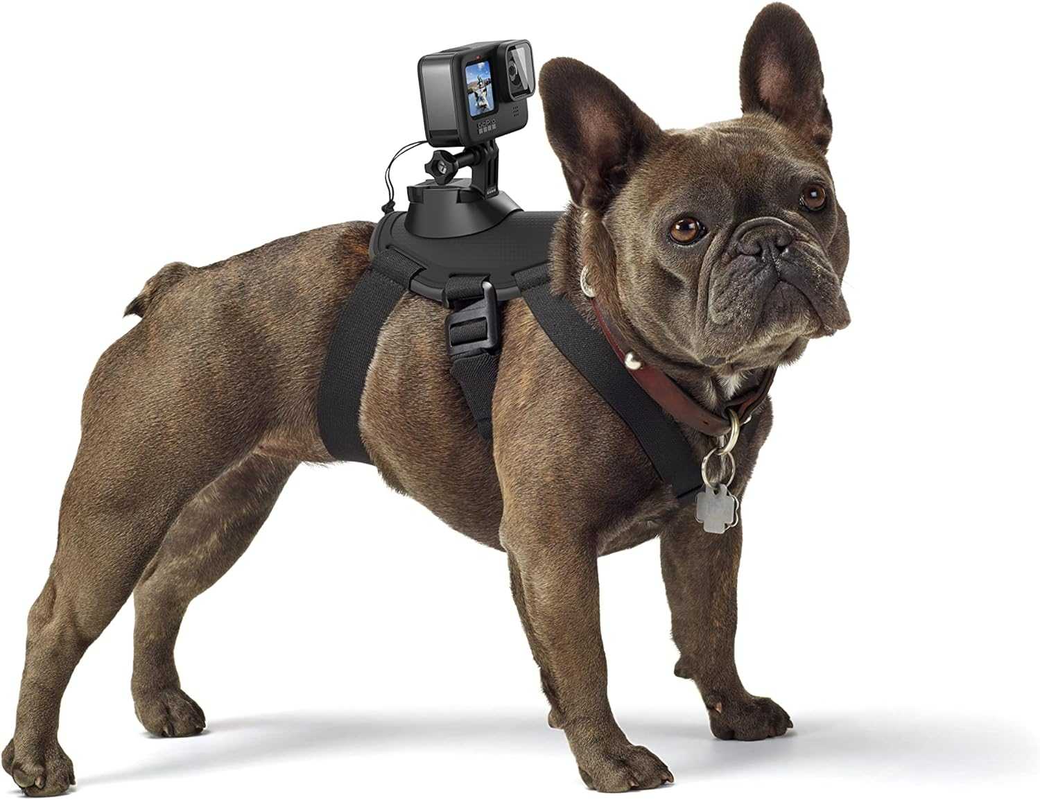Топ 12 лучших аксессуаров GoPro в 2024 году 19