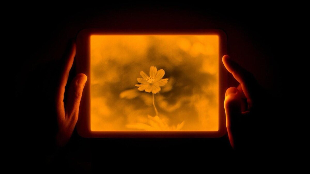 daylight tablet