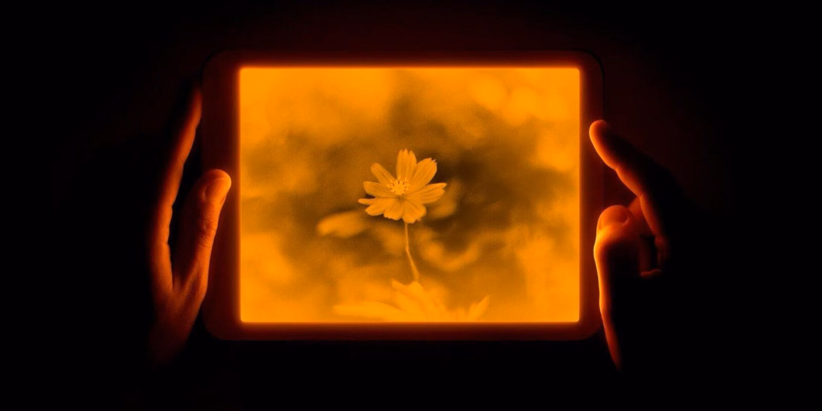 Daylight Computer Company выпустил планшет с экраном из «живой бумаги» – Daylight Tablet 1 daylight tablet