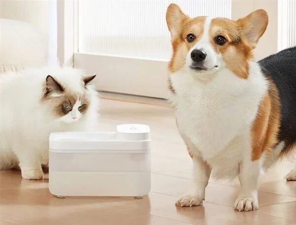 Xiaomi выпустил беспроводную поилку для животных - MIJIA Wireless Smart Pet Water Dispenser 3 aqakgtrazepxzc1mmv9n58kpwewxovrm2hxwne ryyxljvcvs0z74p9fiyiz6abioc8skvc9lt3i ruqnkbdudovv g