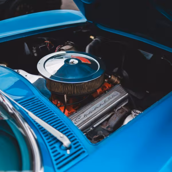erik mclean nnae3jpqph8 unsplash