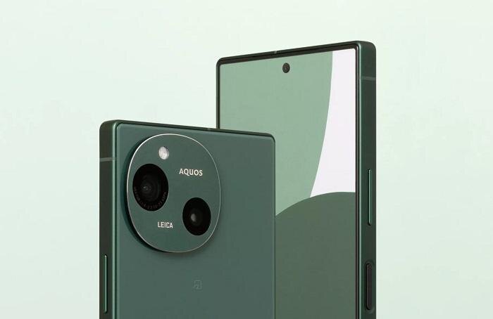 sharp 01