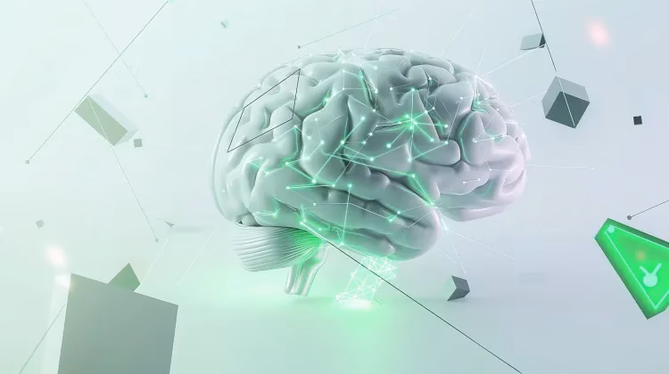 Nvidia представила новую модель Nemotron-4 340B, которая конкурирует с GPT-4 1 nuneybits a detailed vector illustration of a human brain float c356c112 2f06 41a3 bfed 29259d3dd779 transformed