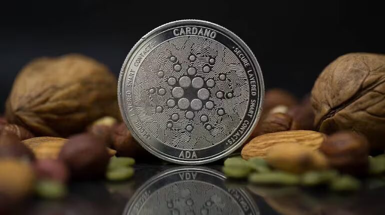 cardano cryptocurrency 770x433.jpg