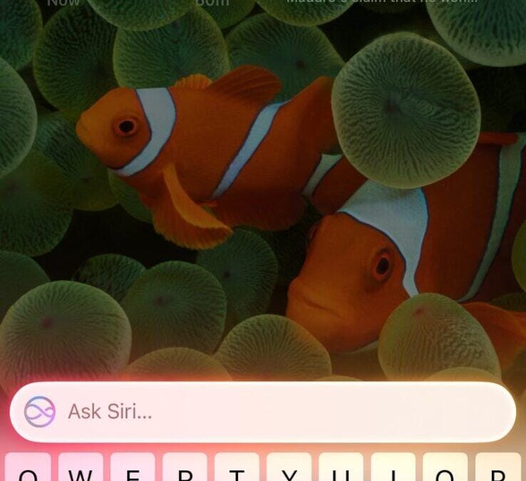 chat to siri