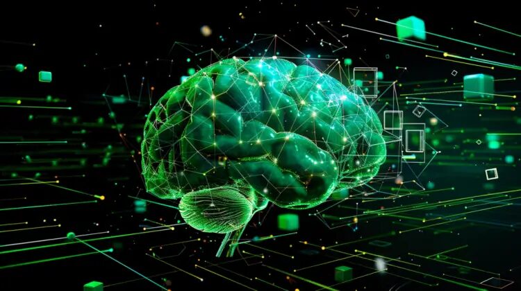 nuneybits vector art of a human brain rendered in a semi transp 907d536c 6a14 4c28 8c81 3d144ea0de3e
