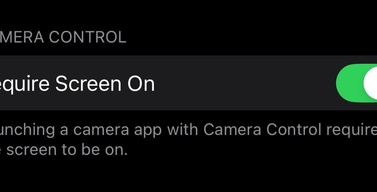 ios 18 2 beta 3 camera control screen on setting