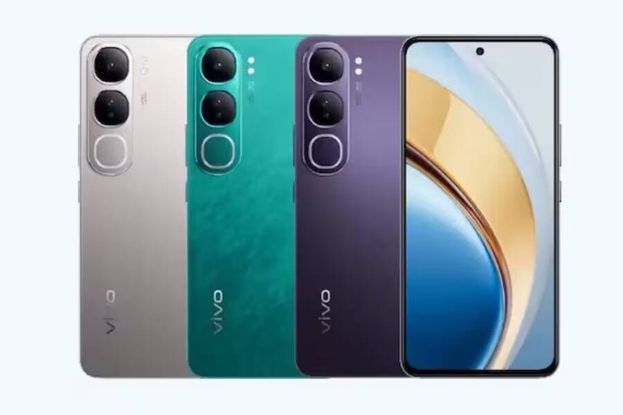 Vivo Y300 три варианта цвета с задней камерой