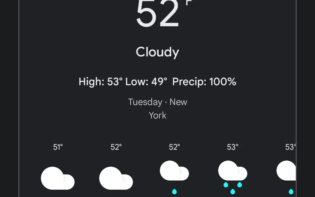 gemini android app model info 2.jpg