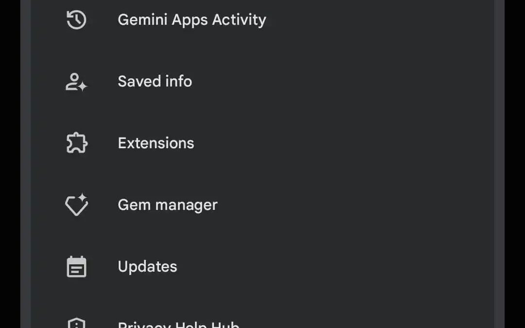 gemini app saved info.jpg