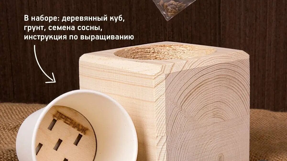 Новый год