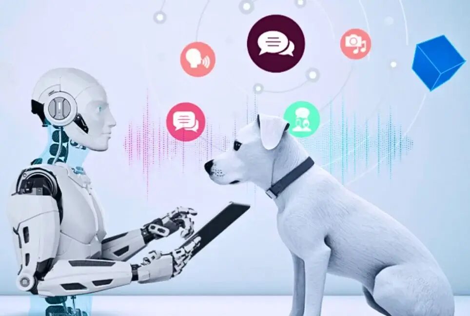 AI учится понимать эмоции животных: от боли до стресса 3 AI