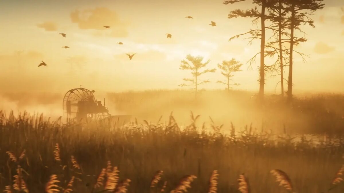 gta vi article image everglades
