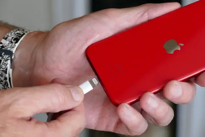 Apple