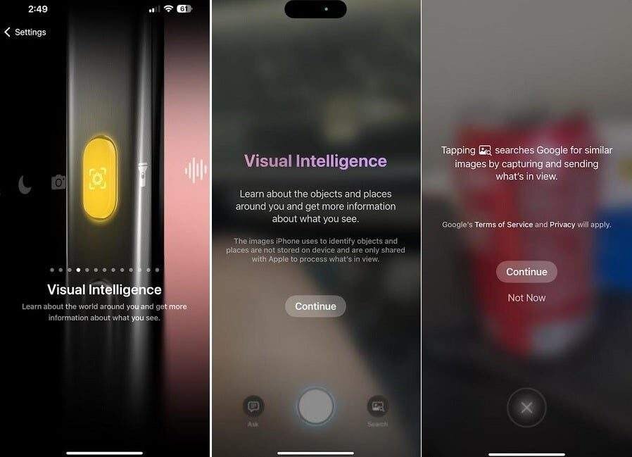 Visual Intelligence