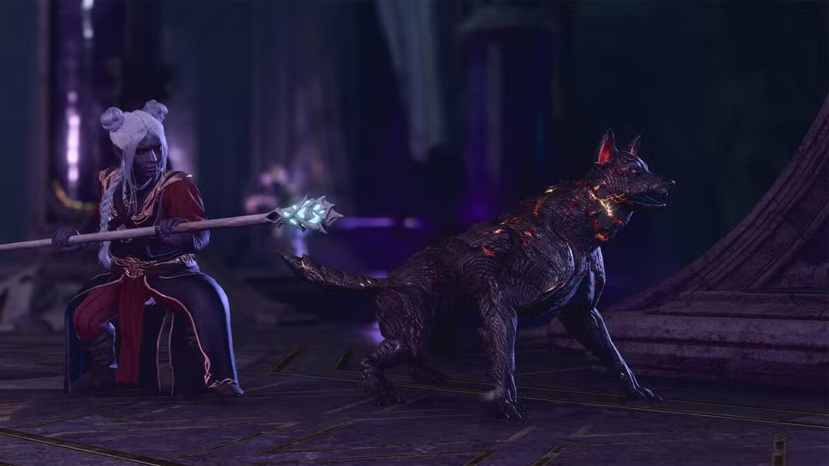 baldurs gate summoning dog crazy