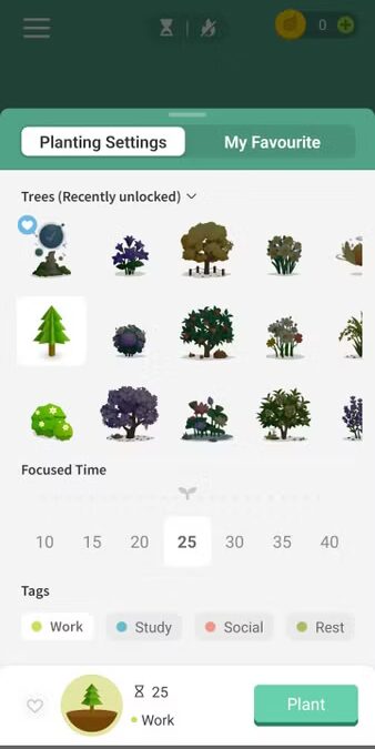 forest 3
