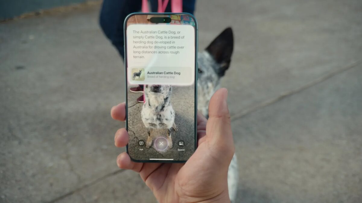 visual intelligence dog.jpeg