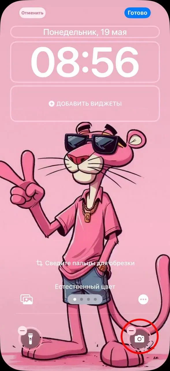 Apple Music