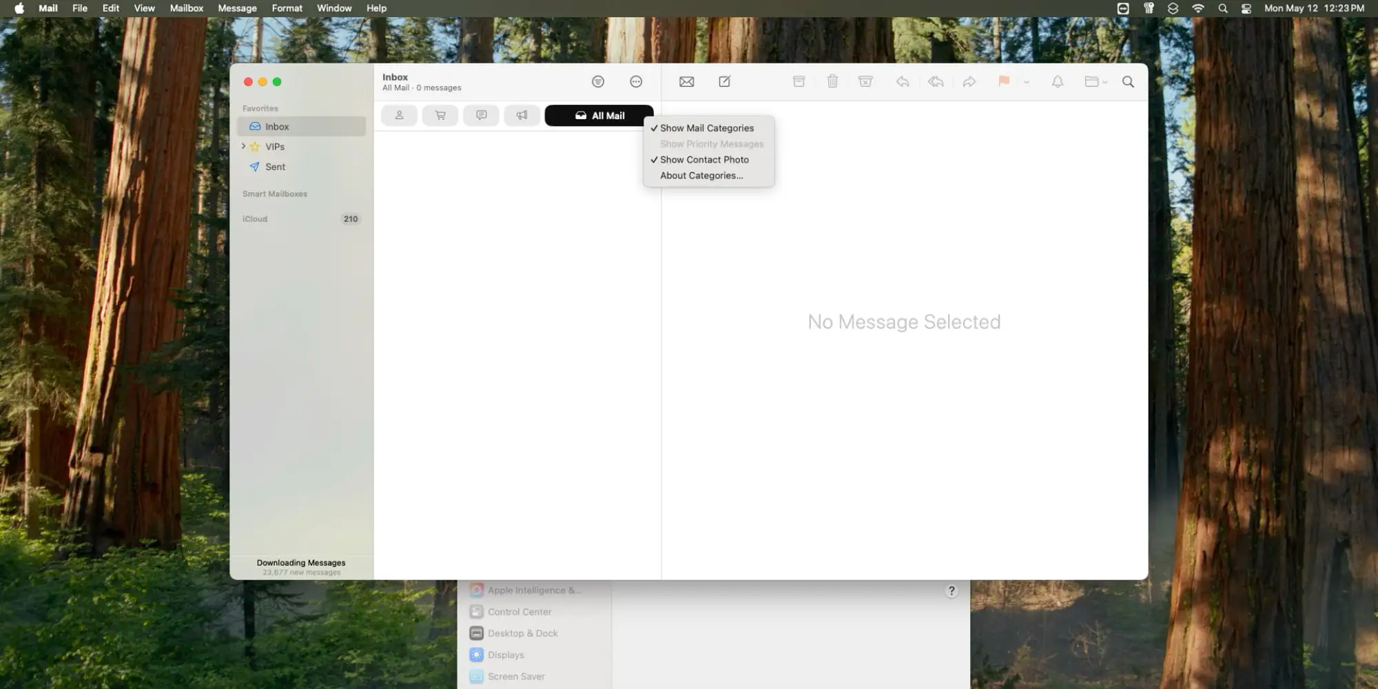 macOS Sequoia 15.5: скромное обновление перед большим релизом 3 apple mail macos 155.jpg