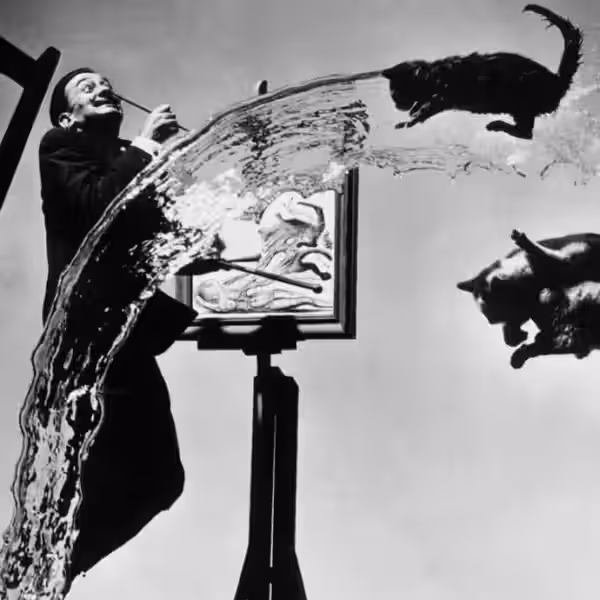 dali 02 1290x690 592
