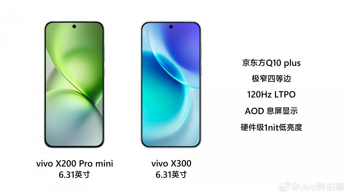 vivo X300