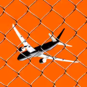 stks503 deportation cvirginia a.jpg 2