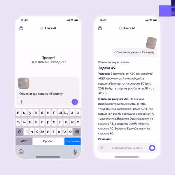 vlm obyasnenie zadachi mob