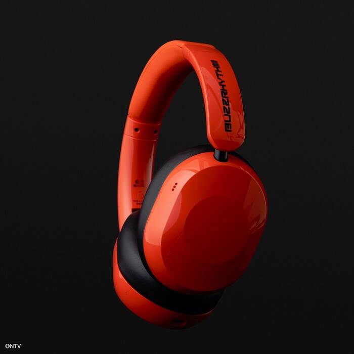 251007 p page sd ux1000 buzz 01