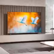 6b9864a0 88b8 11f0 8d3c a6ac9d69