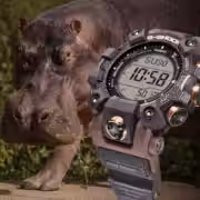 Casio представила лимитированные часы G-Shock Mudman GW-9502KJ-8, вдохновлённые бегемотом 9 gw 9502kj 8 feature 1