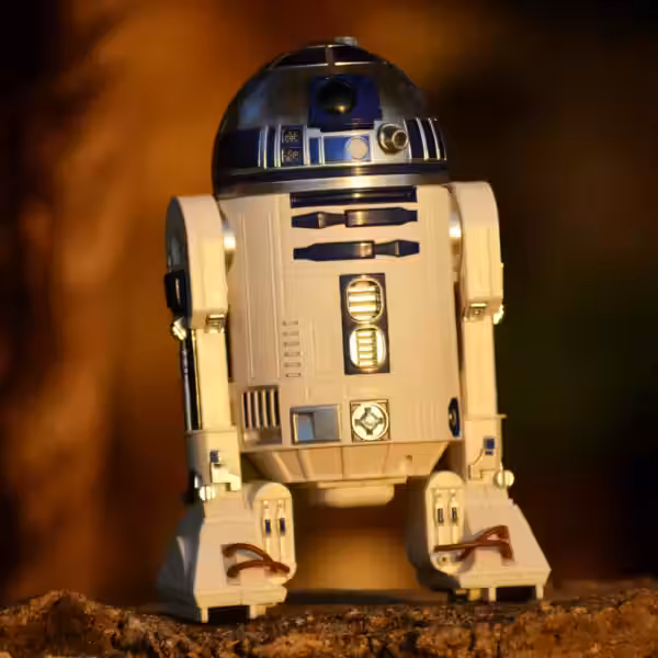 pexels onewayupfusion 2085831