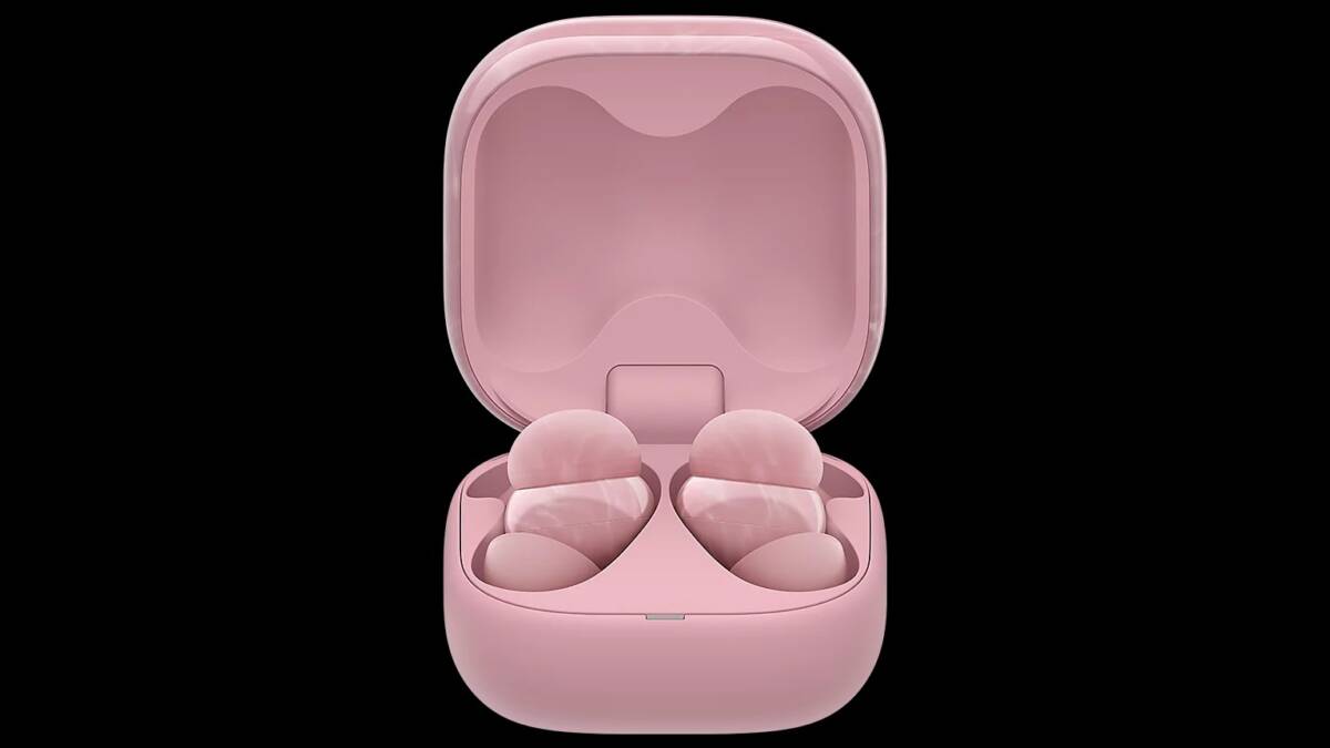 linkbudsfit overview product int 1