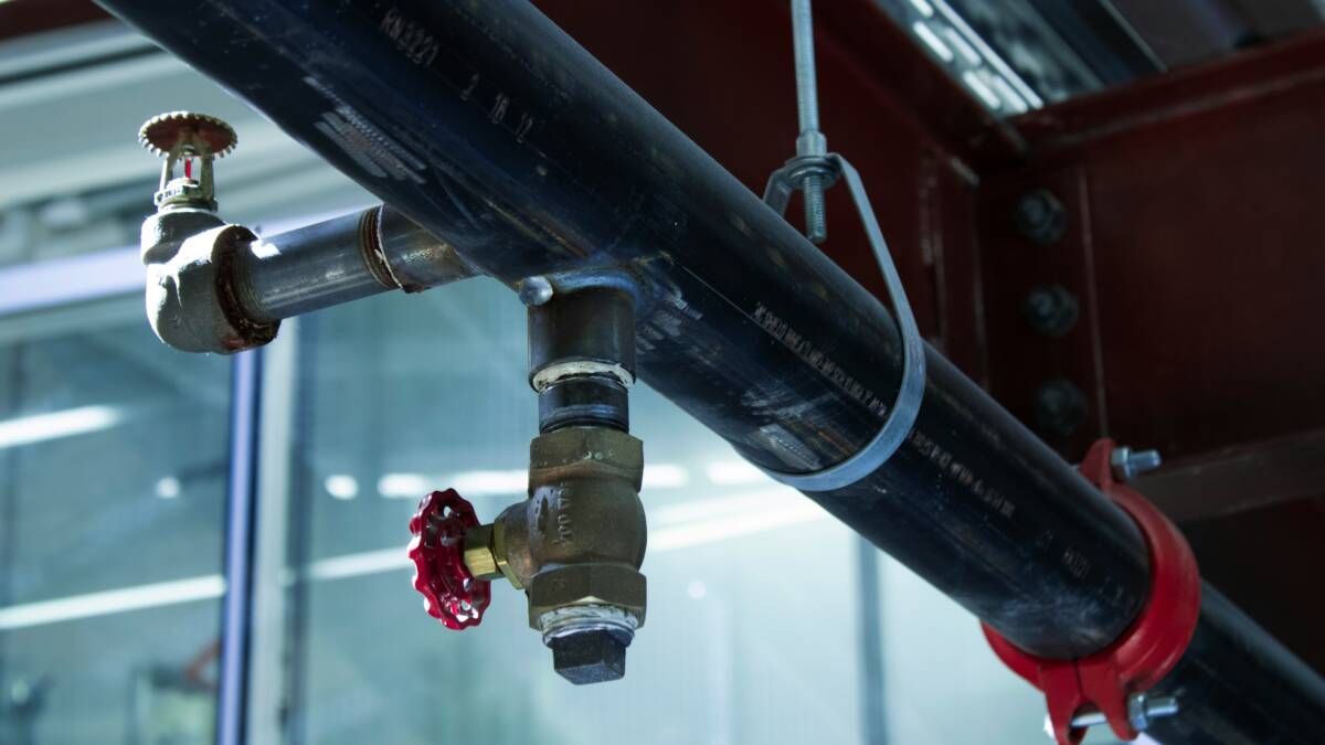 sebastian morelli peyton dvqdk8mtp2i unsplash