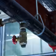 sebastian morelli peyton dvqdk8mtp2i unsplash