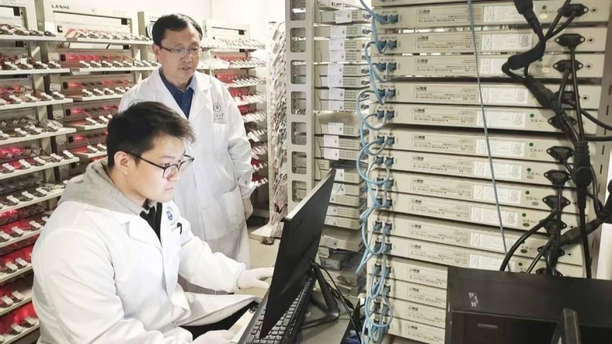 Китайские ученые создали новые батареи для электромобилей из пластика 7 arenaev 003 3