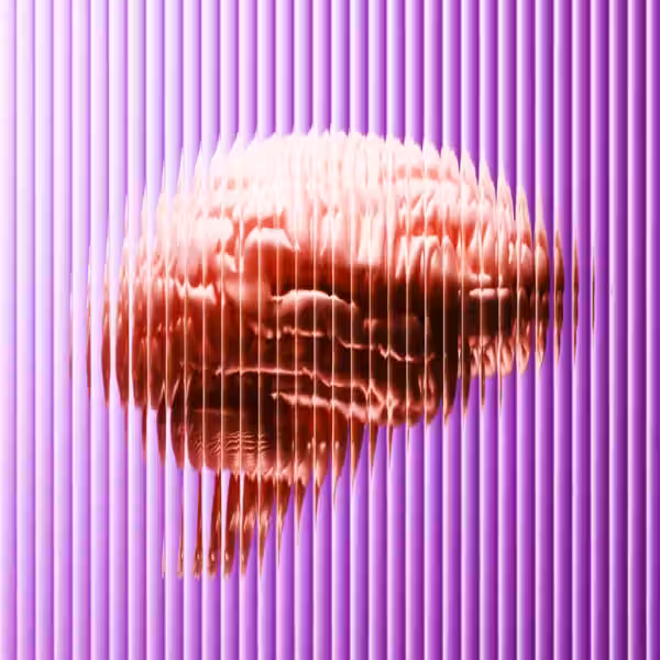 brains believe lies inc 2237386890 1