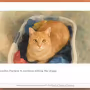 duckduckgo duckai image edit