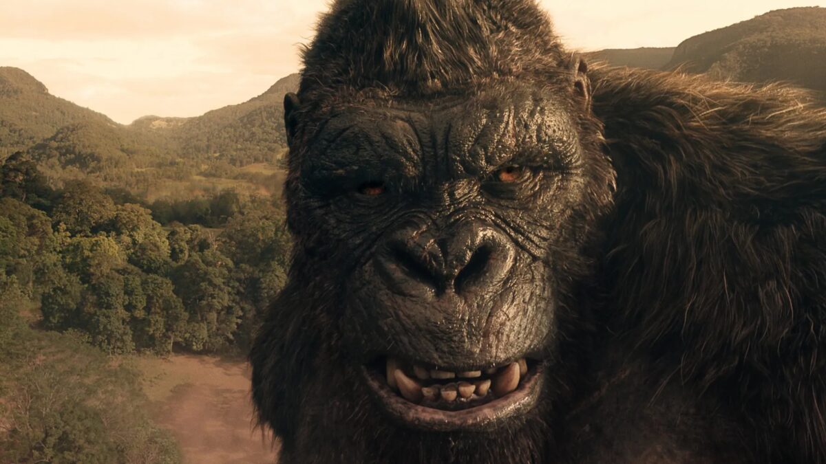 monarch legacy s2 kong.jpg