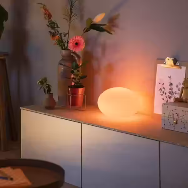 philips hue flourish release