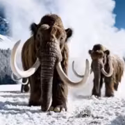 OpenAI закрывает приложение для создания видео Sora и прекращает партнёрство с Disney