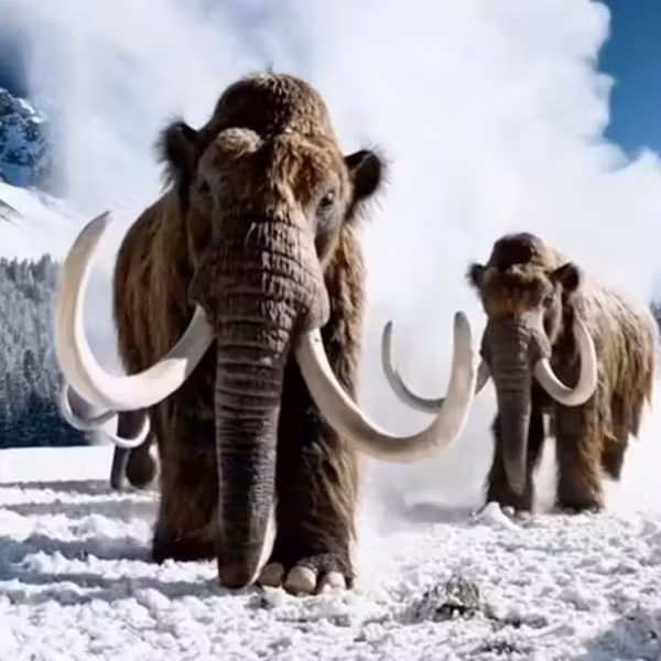 OpenAI закрывает приложение для создания видео Sora и прекращает партнёрство с Disney