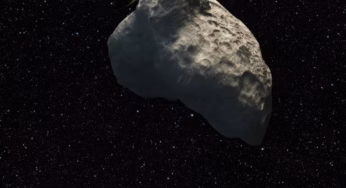 Анализ показал, что образец астероида Рюгу содержит полный набор компонентов ДНК и РНК