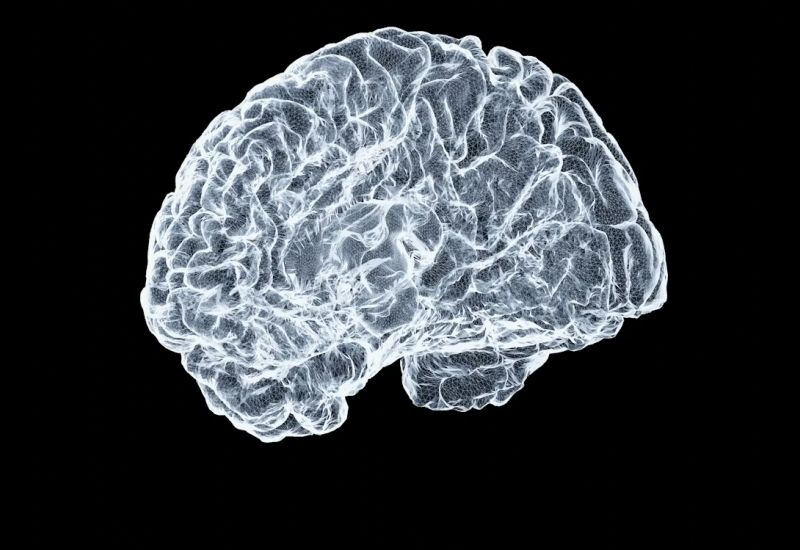 Китайские мозговые импланты отстают от Neuralink на три года