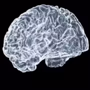 Китайские мозговые импланты отстают от Neuralink на три года